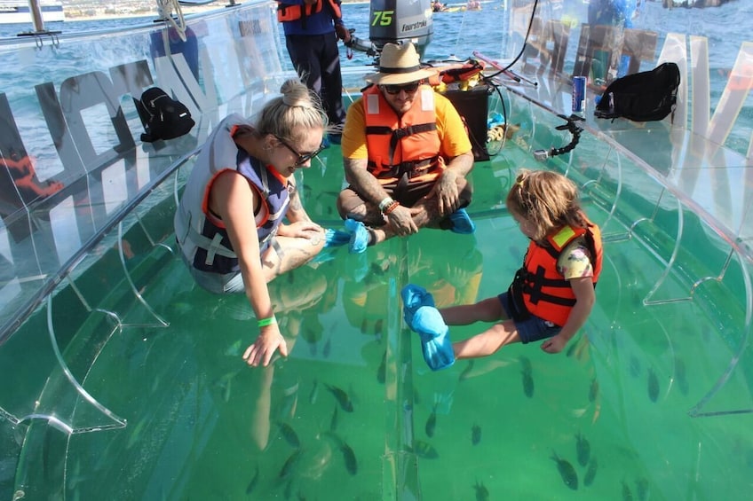 Clear Boat Ride in Los Cabos with transportation