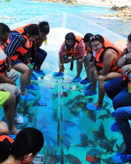 Clear Boat Ride in Los Cabos with Transportation