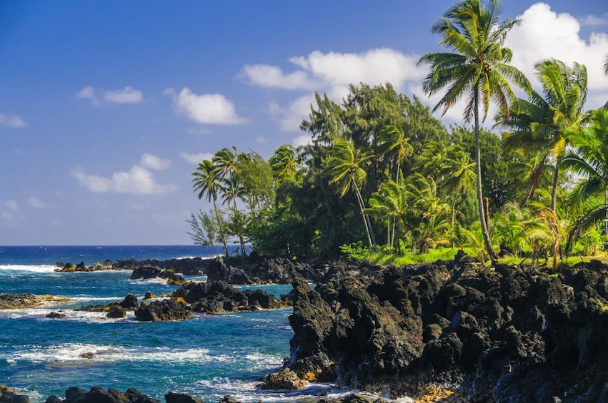 Road to Hana Adventure Tour