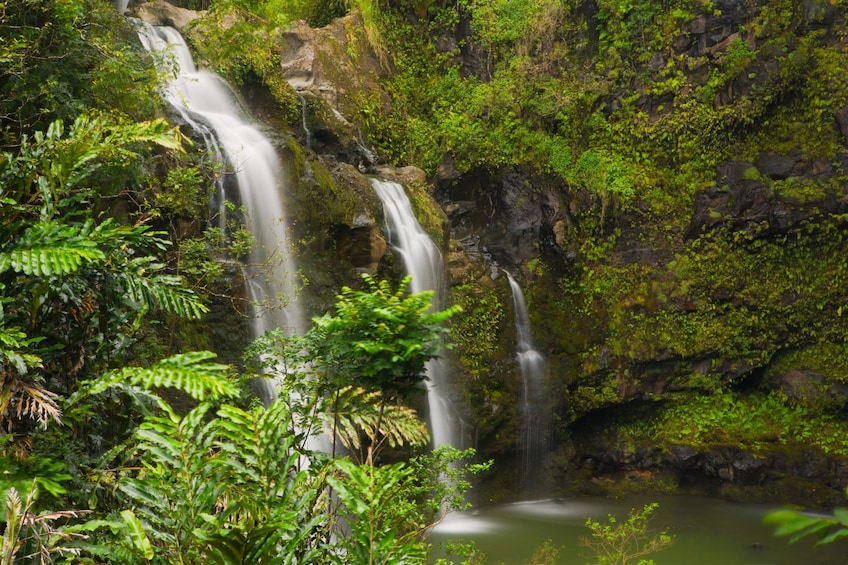 Road to Hana Adventure Tour