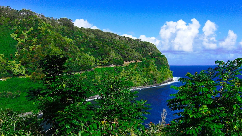 Green landscape near the water in Maui 
