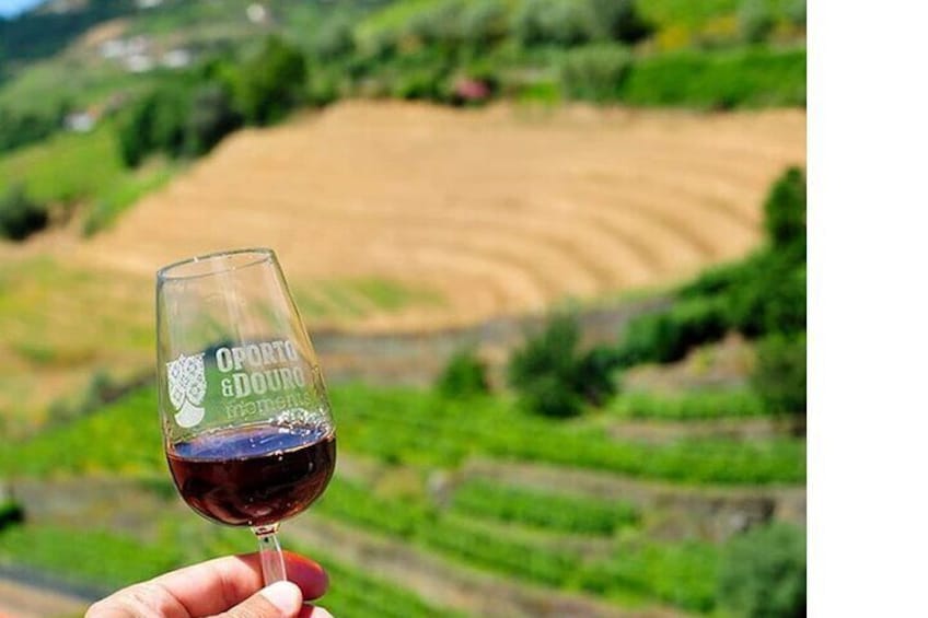 wine douro tours with private DOC and port wine tastings