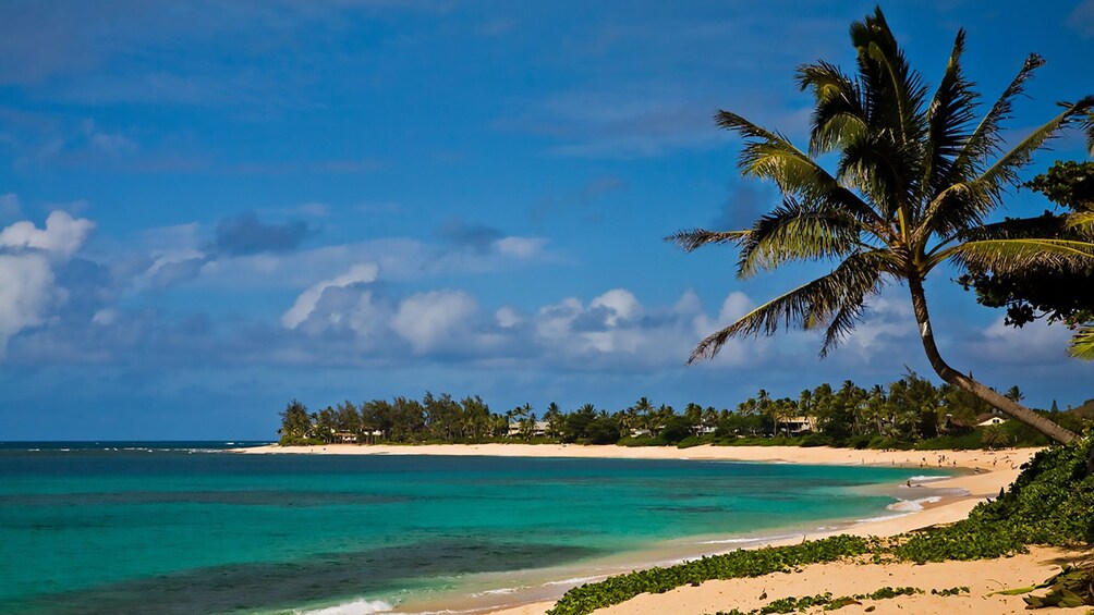 Sunset beach in Oahu