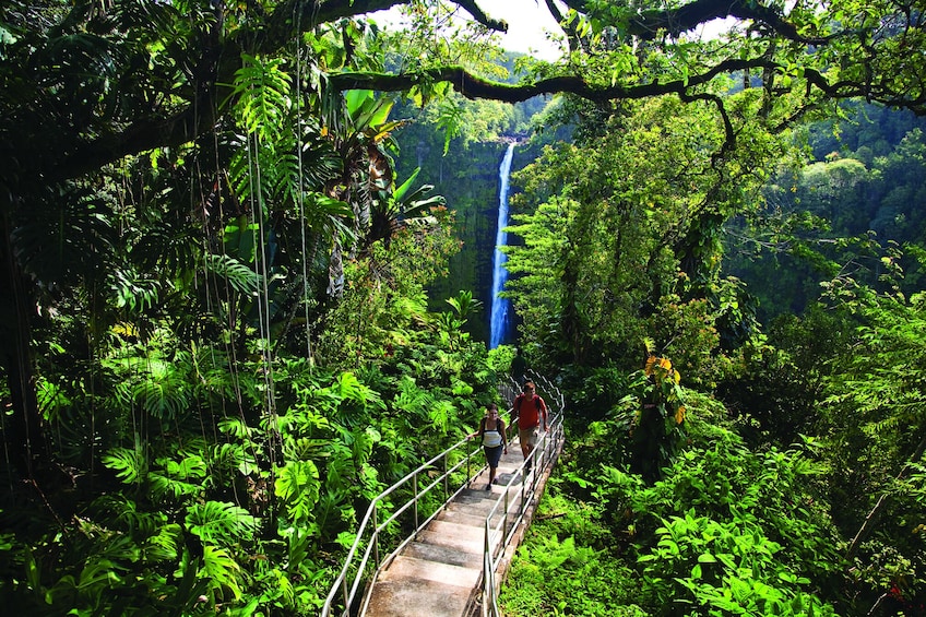 Big Island Volcano Adventure Tour from Oahu