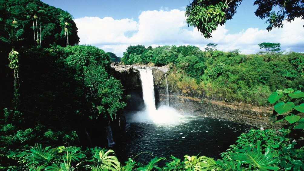 A waterfall surrounded by green jungle in Oahu