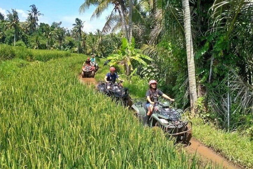 ATV Ride at paddy field