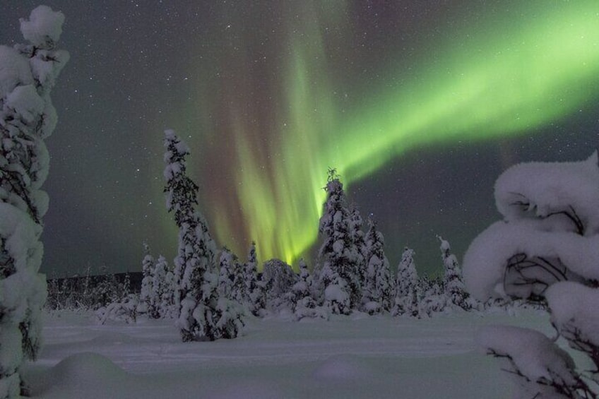 Private Aurora Sleighers Snowmobile Tour in Fairbanks