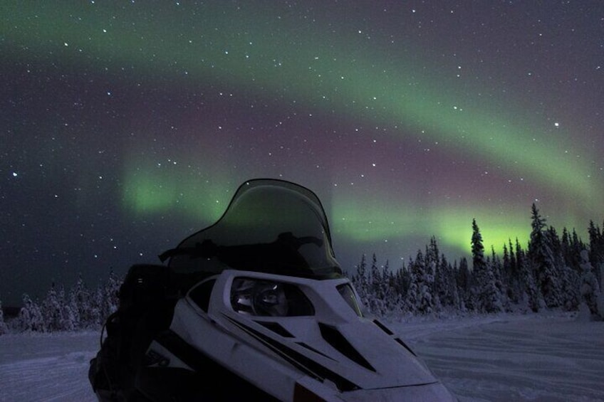 Private Aurora Sleighers Snowmobile Tour in Fairbanks