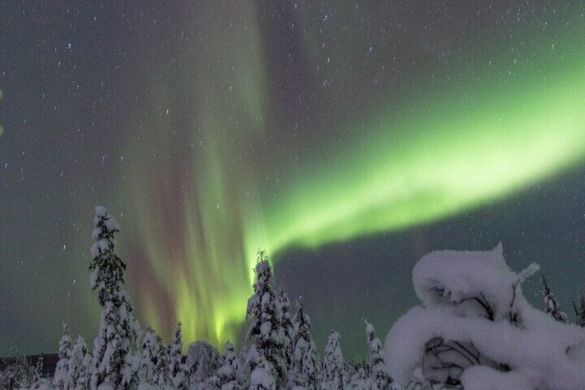 Private Aurora Sleighers Snowmobile Tour in Fairbanks