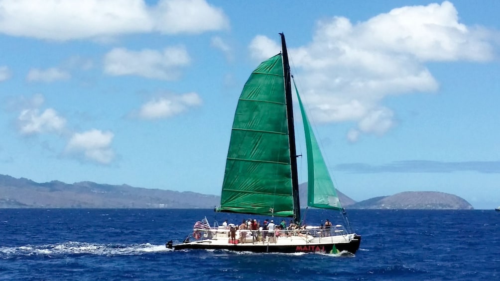 Catamaran traveling along the coast of Oahu