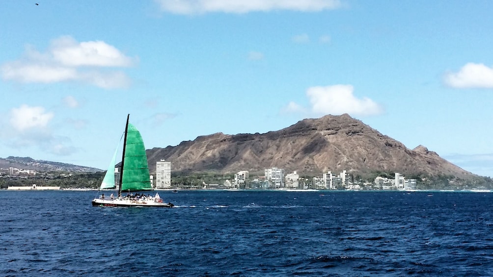 Catamaran travels past buildings on Oahu