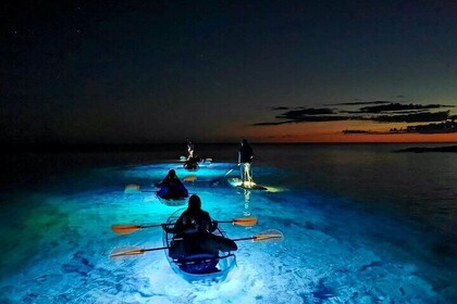 Expérience de nuit en kayak transparent au départ de Pula