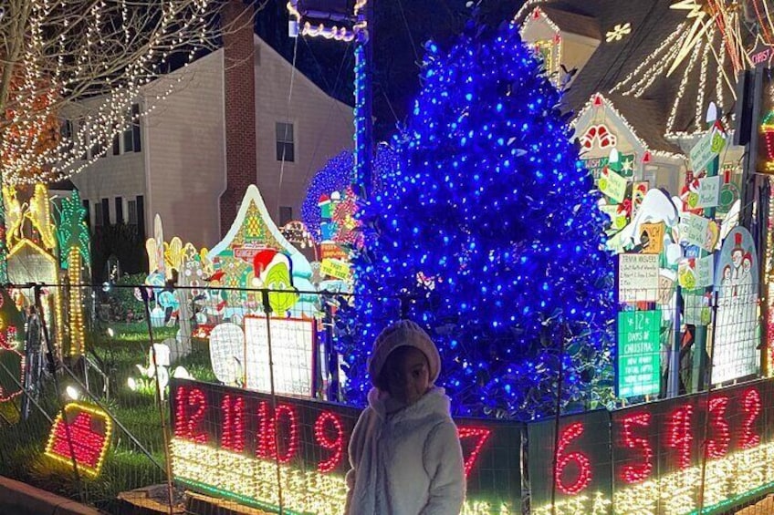 Half-Day Holiday and Tacky Lights Tour in Richmond