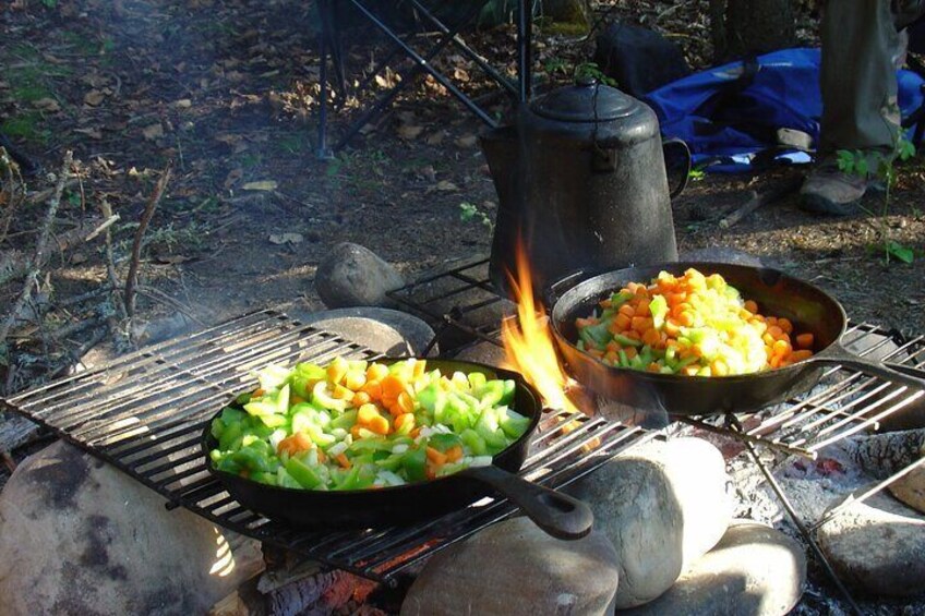 5 Days Guided Canoe Trip Mountain River in Alberta
