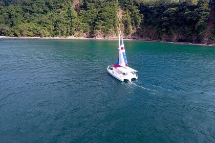 Sealounge Catamaran Private Day Tour to Playa Fantasia