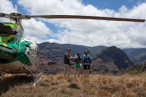 Helicopter Ride with Kauai Refuge Landing