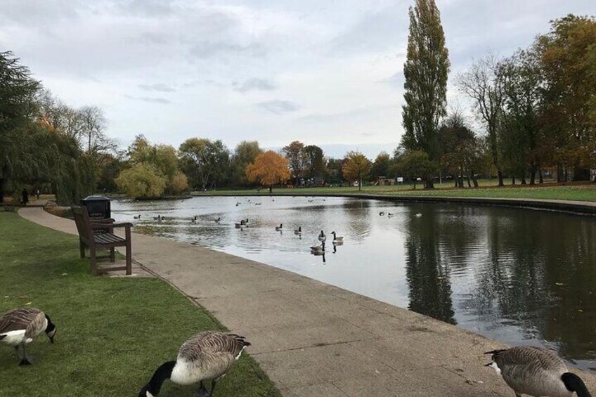 Rowntrees Park