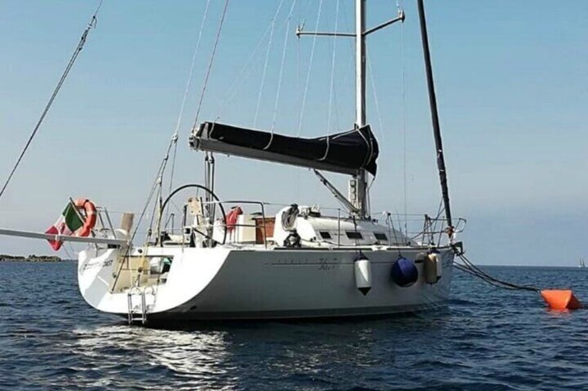 Daily Sailing Tour in Palermo with lunch.