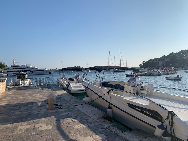 Golden Horn (Zlatni Rat) half day speedboat tour