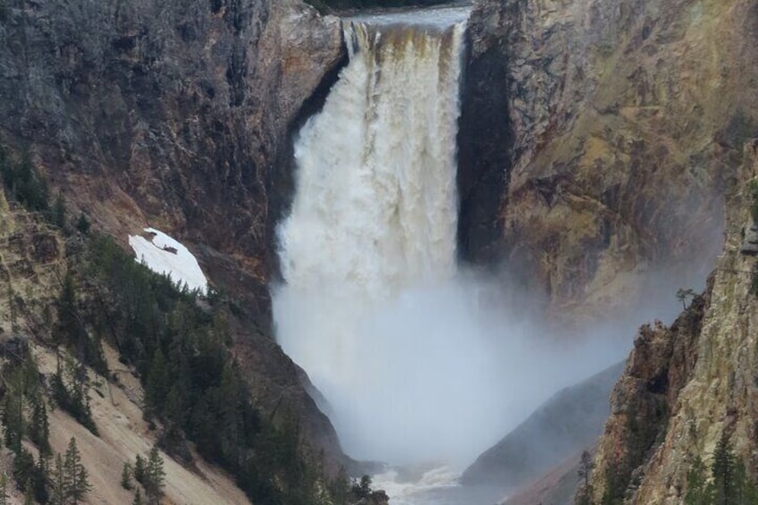 The roaring Lower Falls of the Yellowstone River.