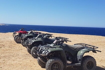 Sea Side Quad Adventure in Makadi Bay