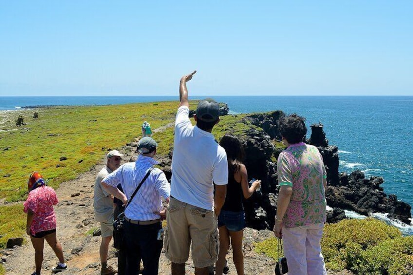 4-Day Wildlife Tour in Santa Cruz Island