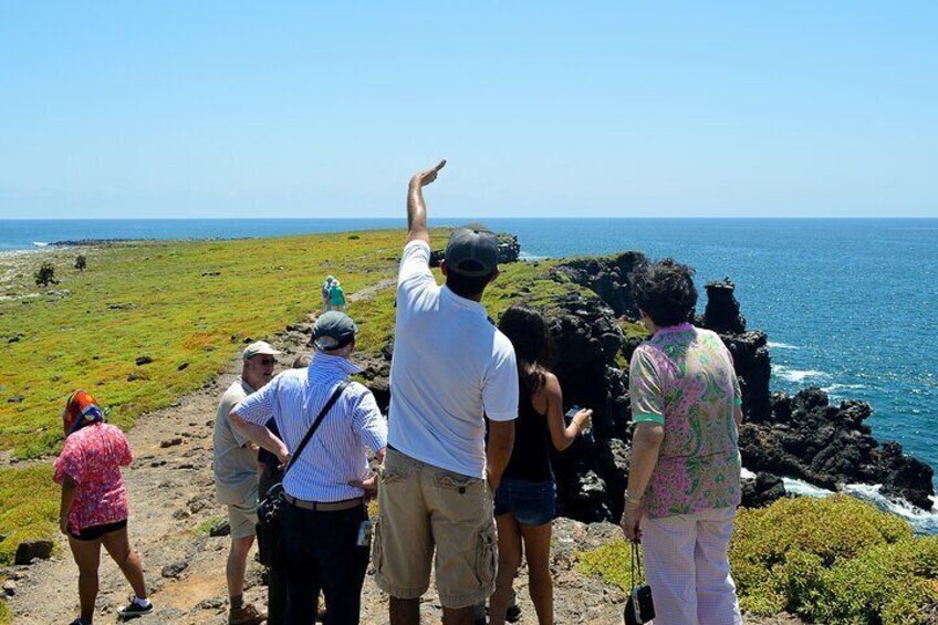 4-Day Wildlife Tour in Santa Cruz Island