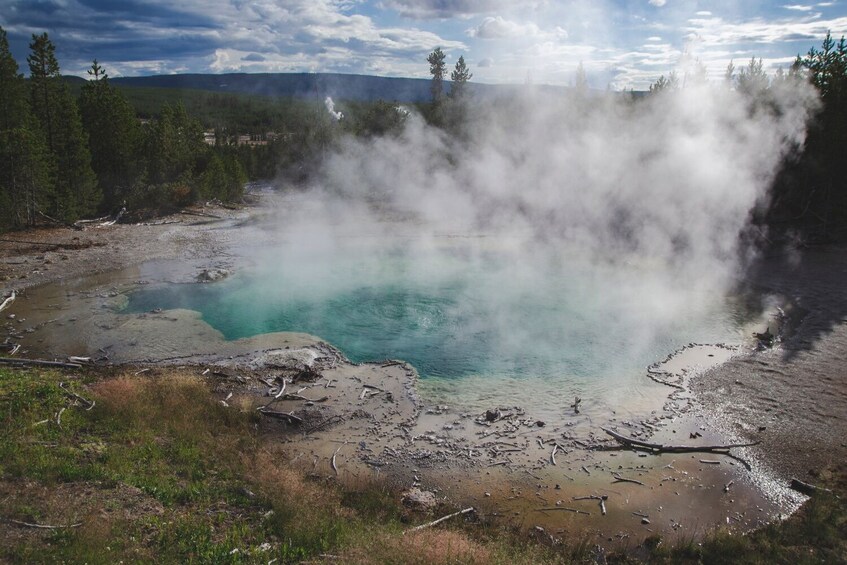 Yellowstone National Park: Self-Driving Audio Guided Tour