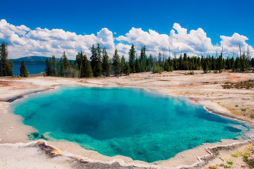 self guided tour yellowstone national park