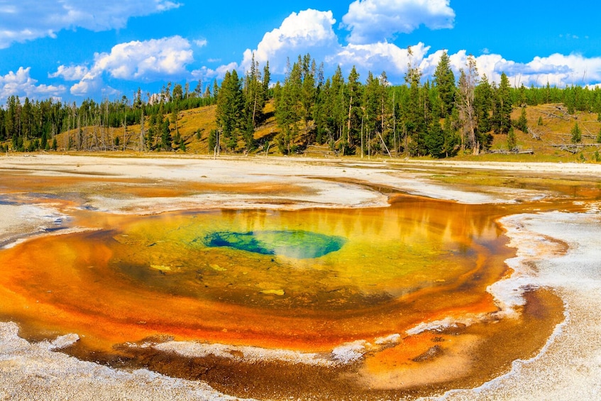 guided tour to yellowstone national park