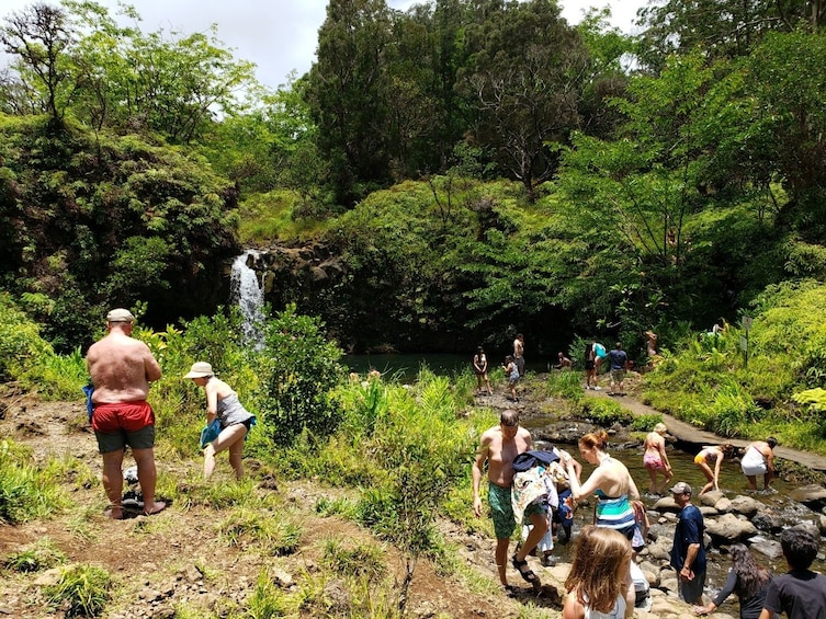 Road to Hana Full-Day Tour -Full Loop