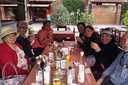 Tour to Mitla and The Mezcal Paths