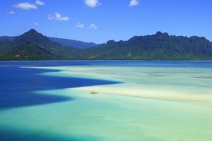 Eftermiddag Kaneohe Sandbar Snorkling Tour