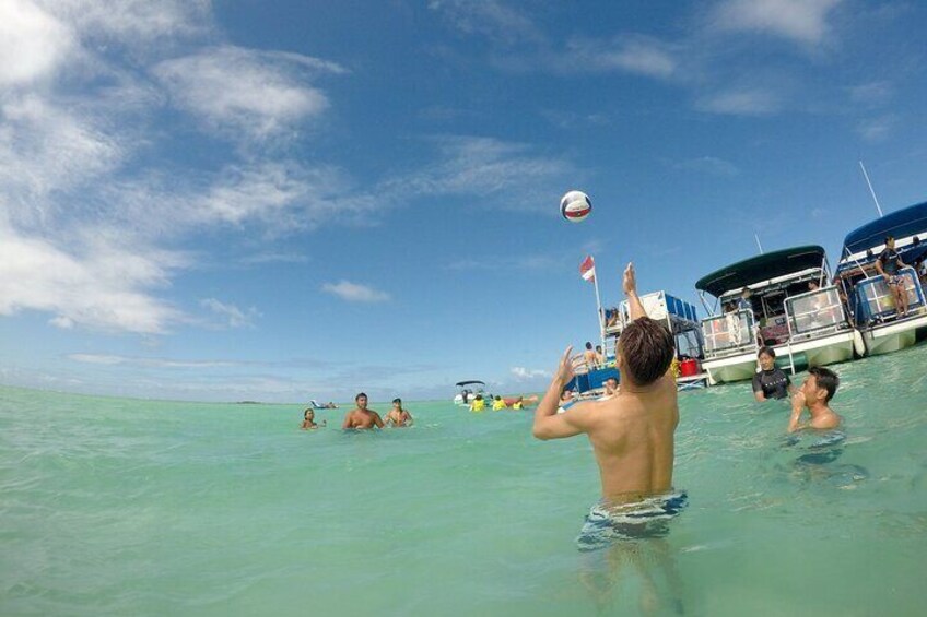 Kaneohe Sandbar Turtle Watching & Snorkeling Tour / 1:00 PM