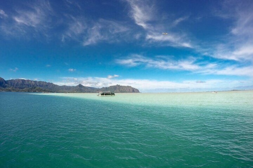 Kaneohe Sandbar Turtle Watching & Snorkeling Tour / 1:00 PM