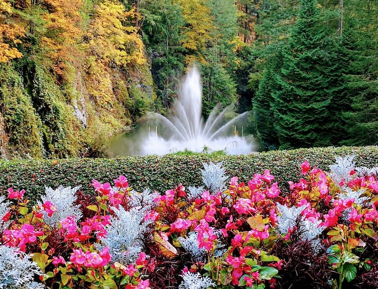 Private Luxury Victoria Tour & Butchart Gardens