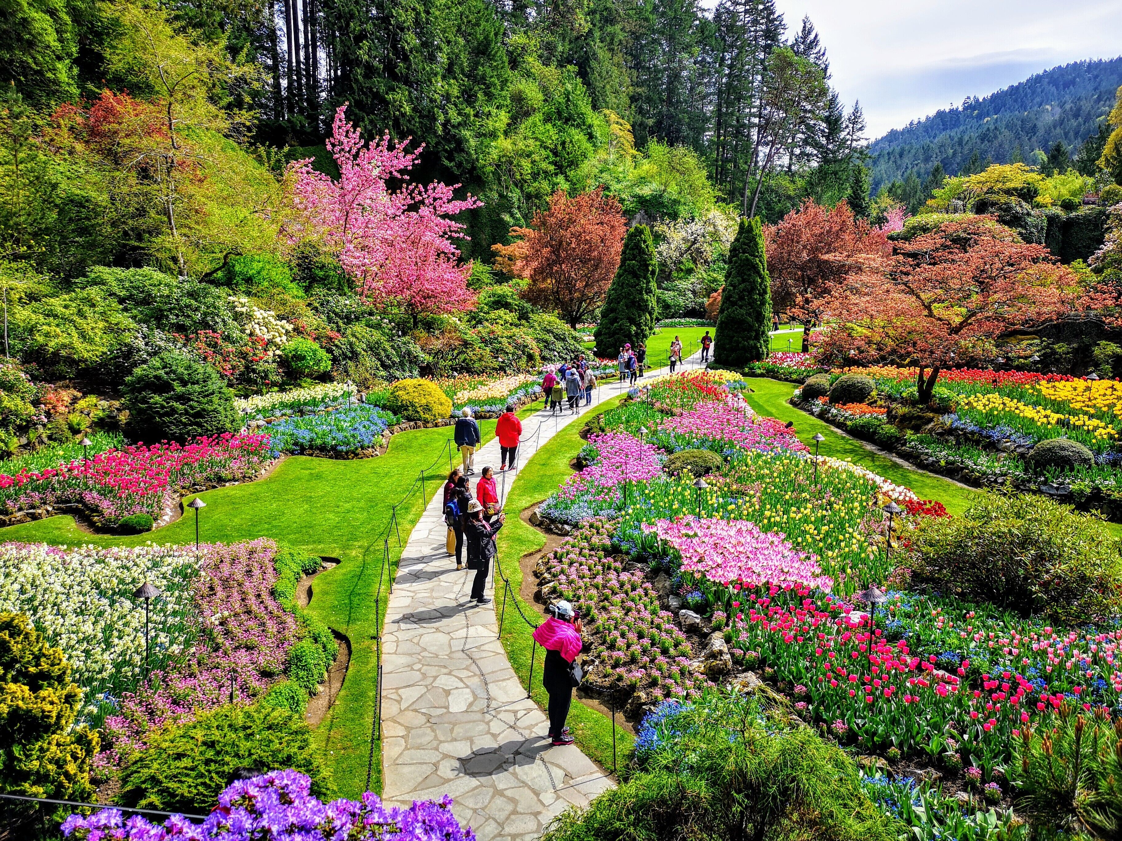 Private Luxury Victoria Tour Butchart Gardens