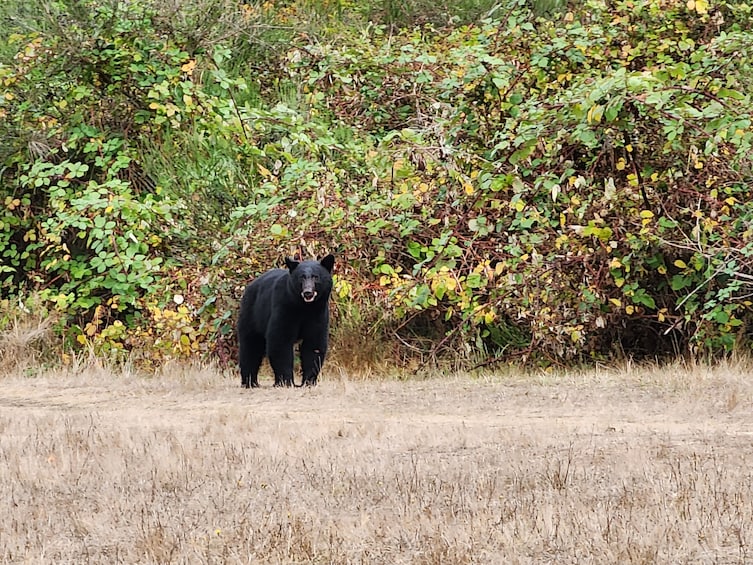 Private Guided Rainforest Hike