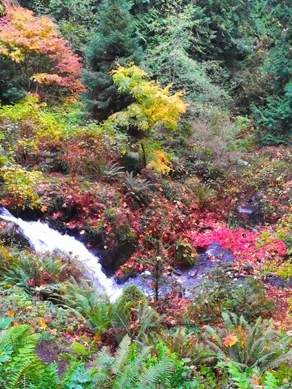 Private Guided Rainforest Hike