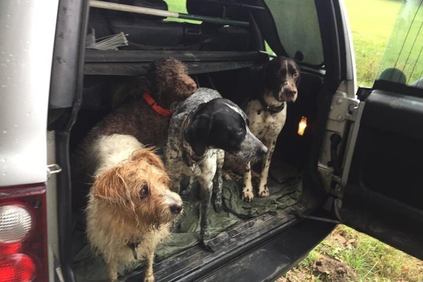 Truffle hunt, with Italian National Truffle Hunting Association