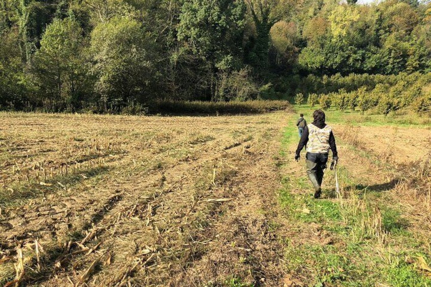 Truffle hunt, with Italian National Truffle Hunting Association