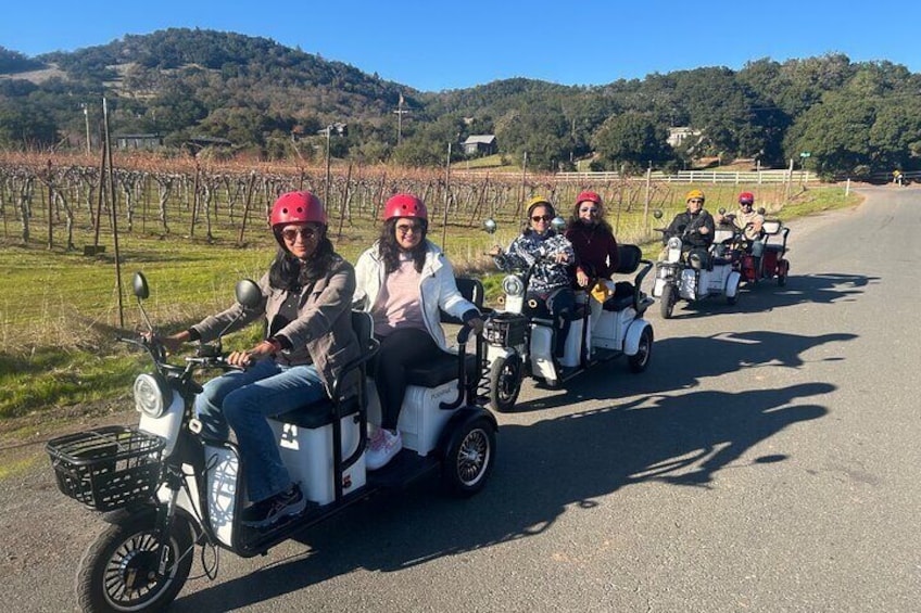 Sonoma Wine Country Electric Trike Tour - 3 hours