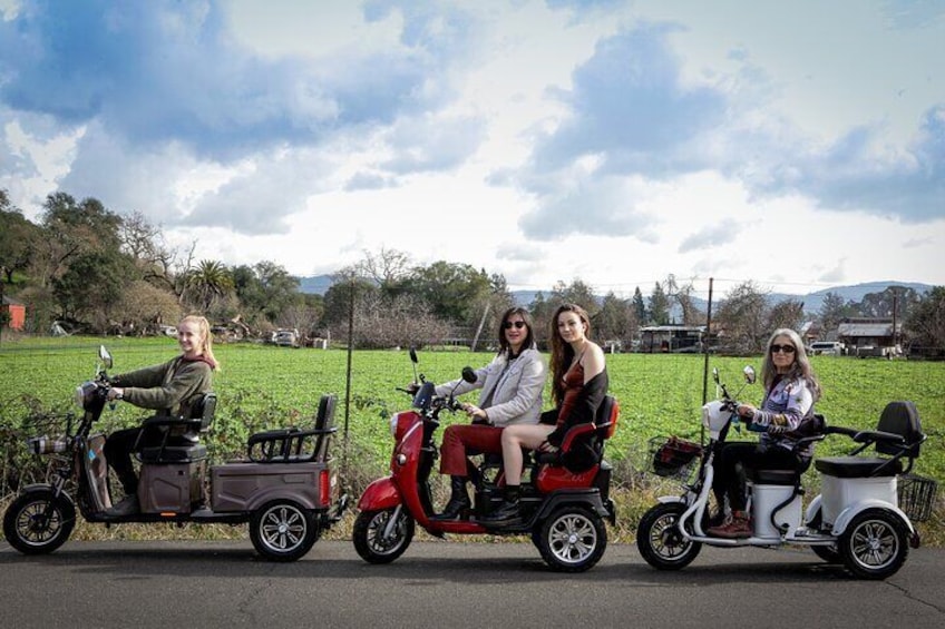 3 hr Guided Wine Country Tour in Sonoma on Electric Trike (2 person min)