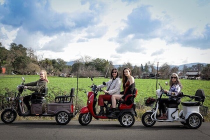 3 hr Guided Wine Country Tour in Sonoma on Electric Trike (2 person min)
