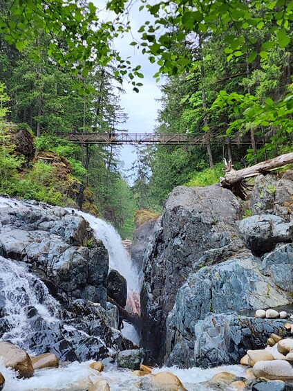 Waterfalls, Coombs Market, & Cathedral Grove Rainforest Private Tour