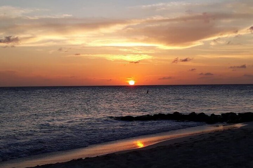 1 Hour Yoga on the Beach Experience in Aruba