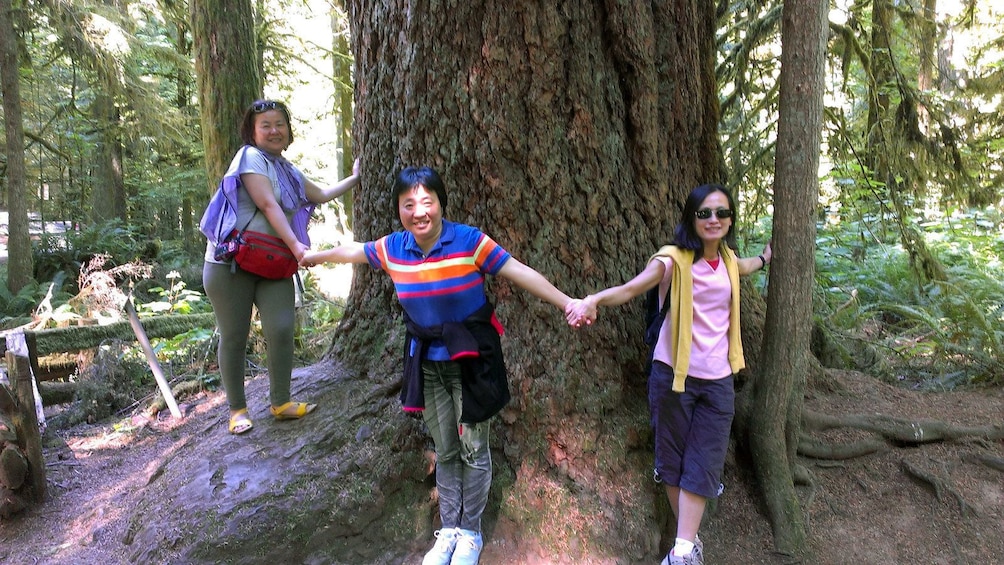 woman standing around a wide tree trunk in Victoria BC