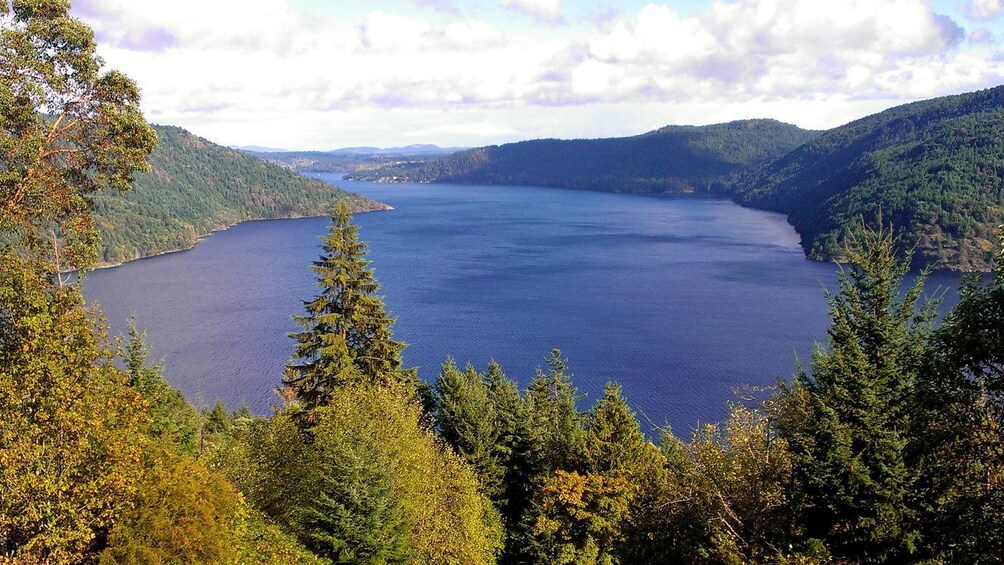 lake surrounded by the wilderness in Victoria BC