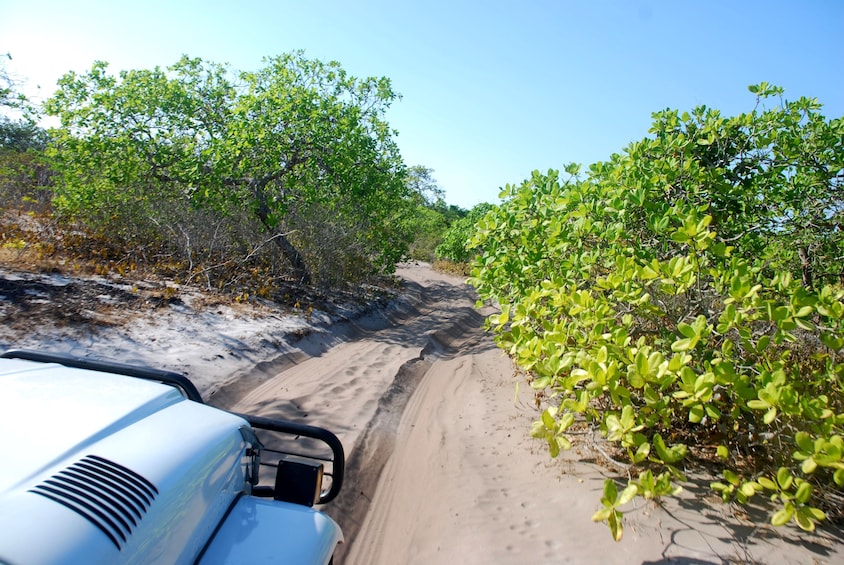 4X4 Tour To Lagoa Azul