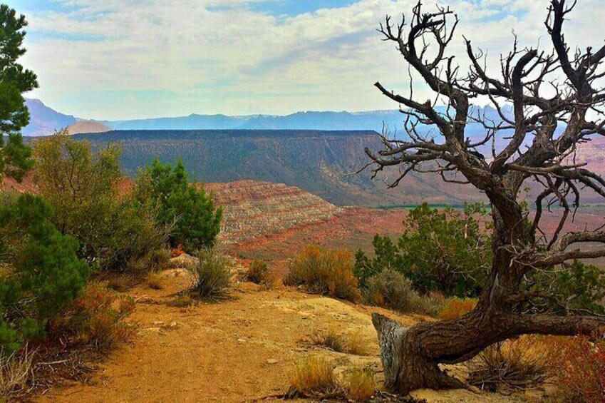 Zion Jeep Tour Premium Package - Morning Tour